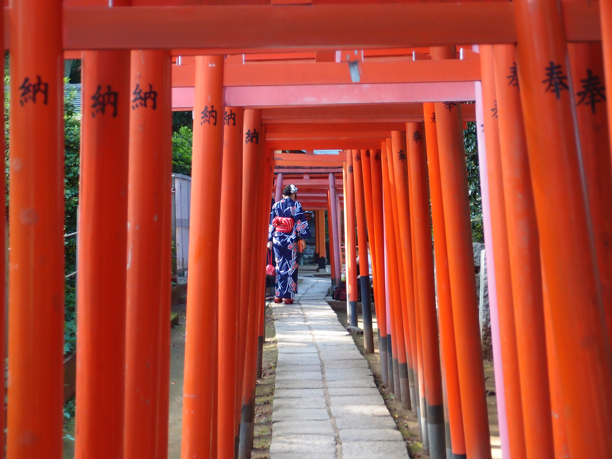 Here Are The Best Free Tokyo Photography Spots To Snap Dazzling Pics 