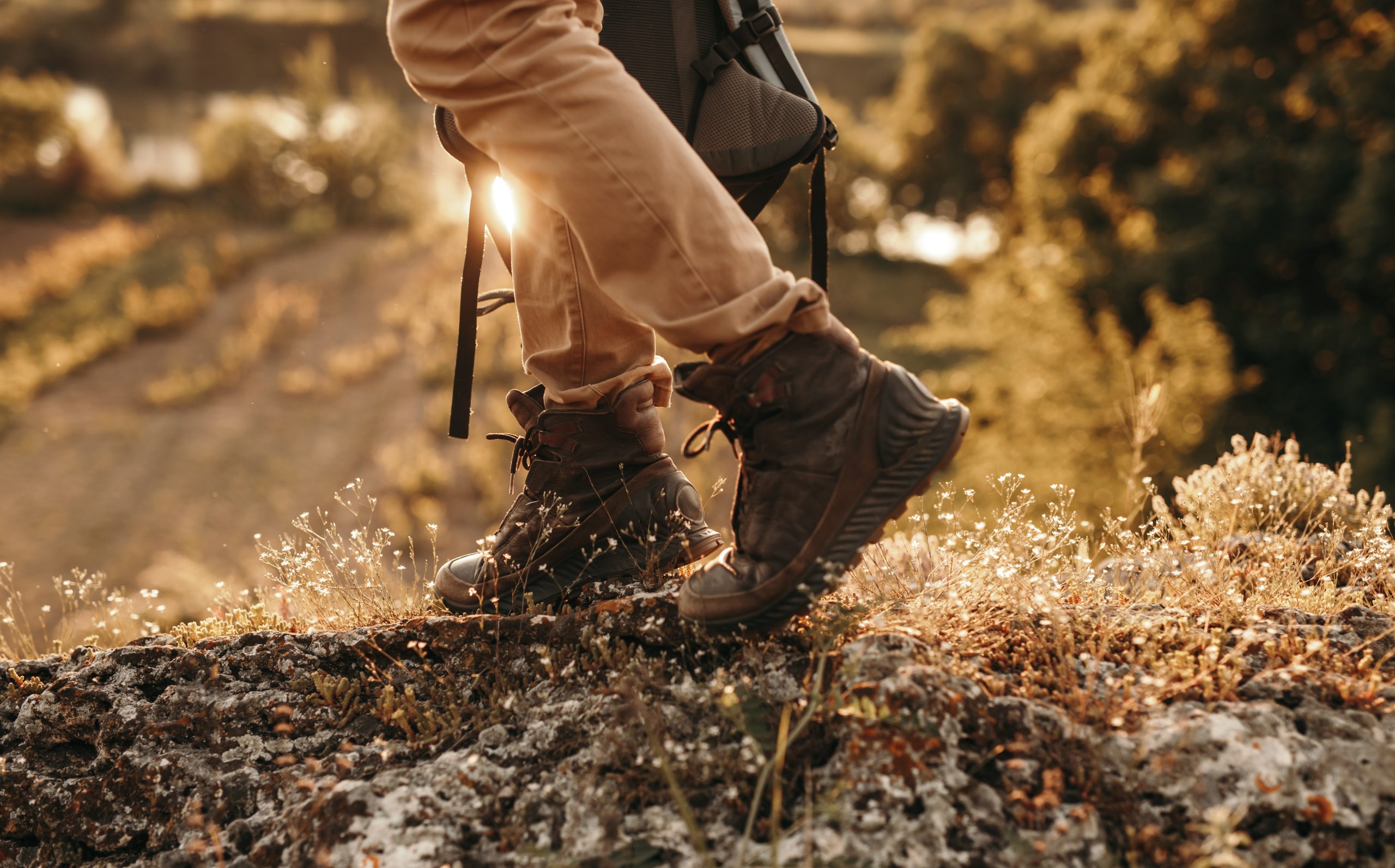 The Best Hiking Boots for Men in 2024 TravelOnTV