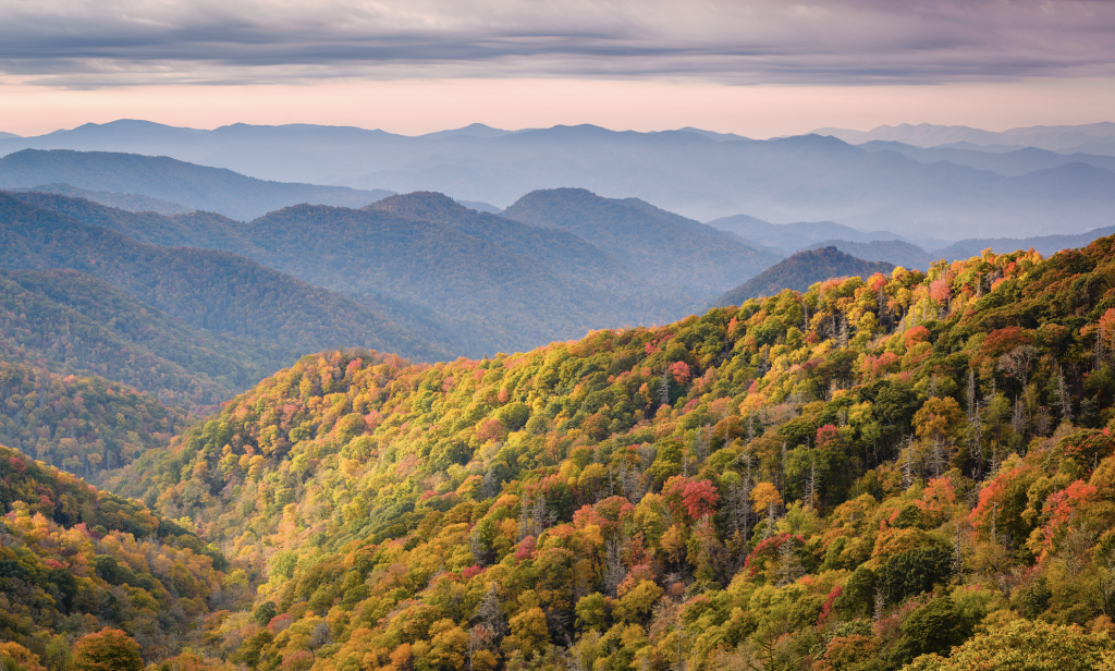 Camping Destination: Great Smoky Mountains National Park