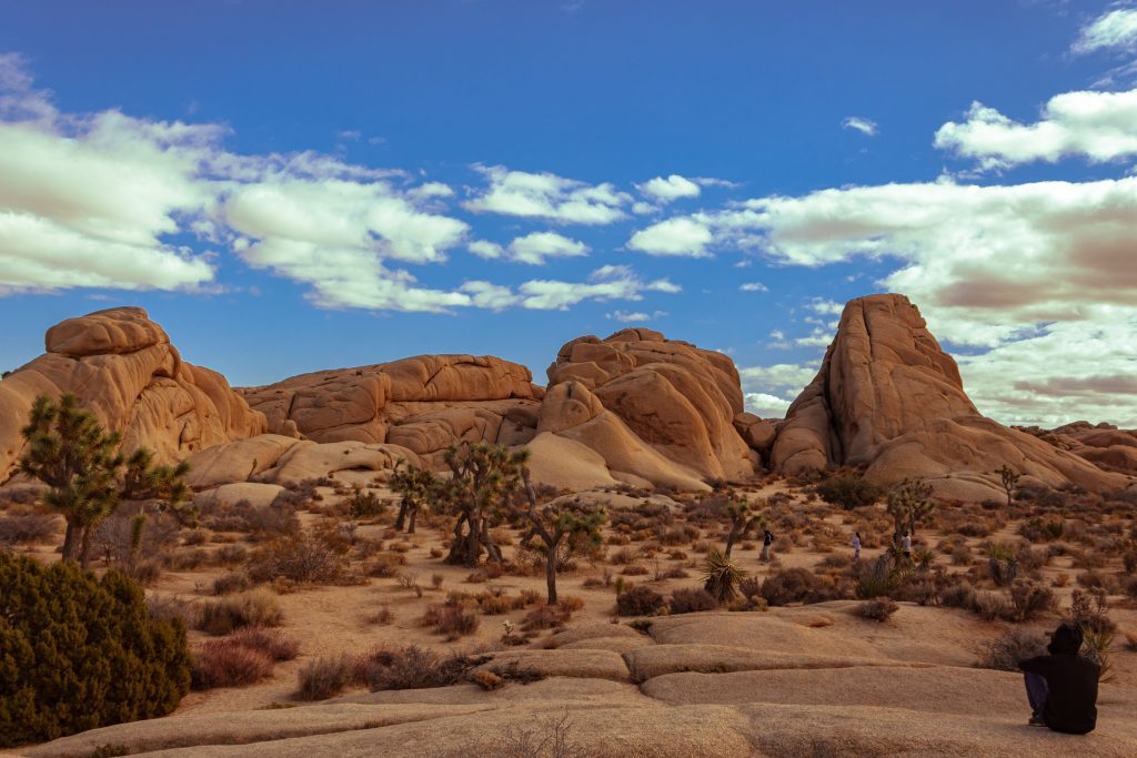 Camping Destination: Joshua Tree National Park, California