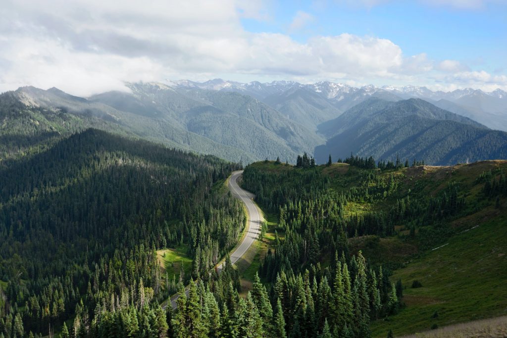 Camping Destination: Olympic National Park, Washington