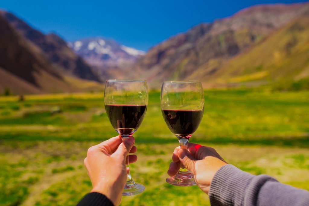 Savoring Chilean Wines