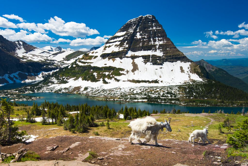 Glacier National Park, Montana