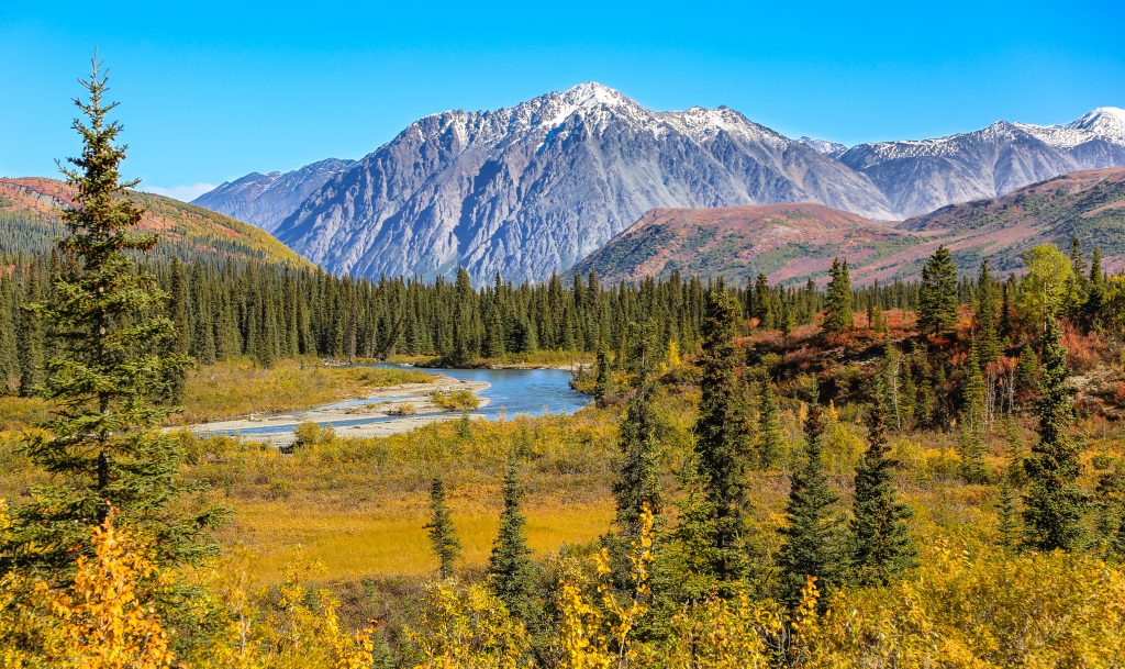 Denali National Park