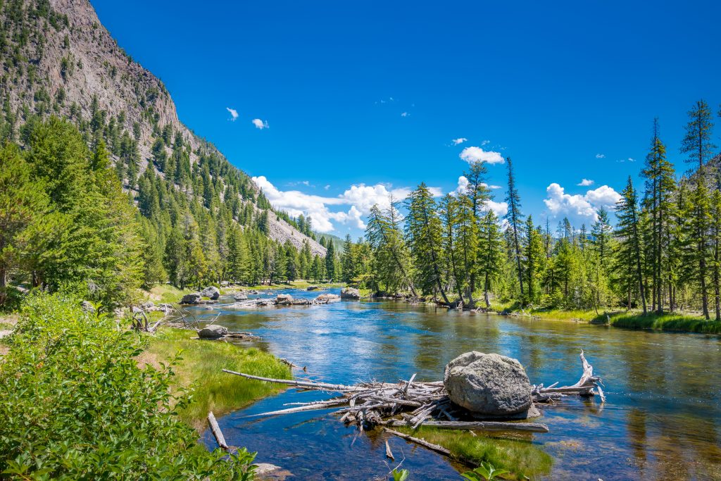 Camping Destination: Yellowstone National Park, Wyoming, Montana, and Idaho